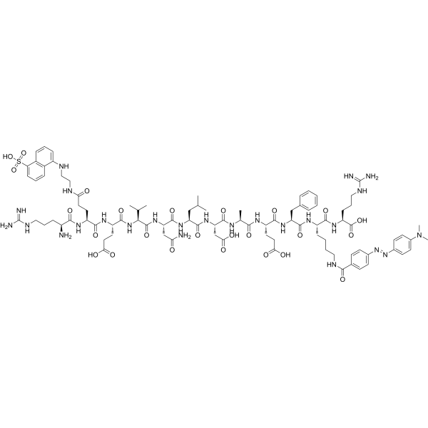 RE(EDANS)EVNLDAEFK(DABCYL)R 310427-94-2